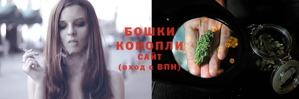 шишки Володарск