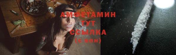 шишки Володарск