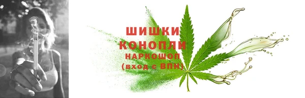 шишки Володарск