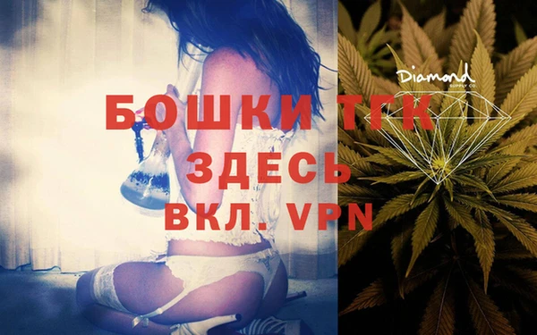 шишки Володарск