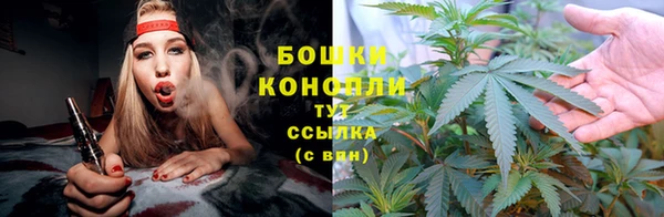 шишки Володарск