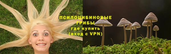 шишки Володарск